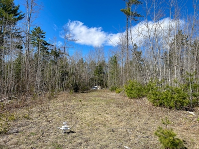 50± Acres in Otis, Maine - image 7