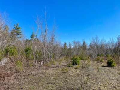 50± Acres in Otis, Maine - image 6
