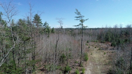 50± Acres in Otis, Maine - image 1