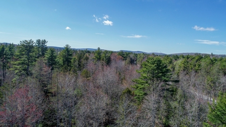 50± Acres in Otis, Maine - image 5