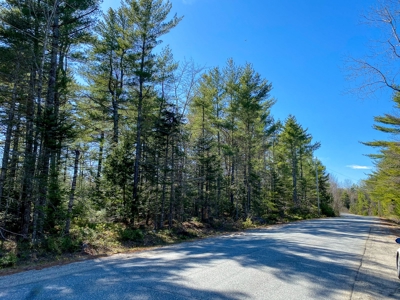 50± Acres in Otis, Maine - image 12