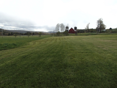Open & Gorgeous 20 Acres - image 3
