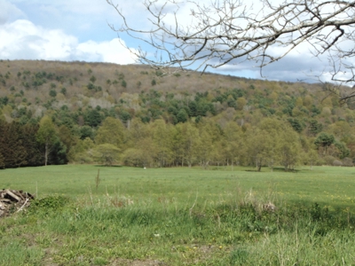 Open & Gorgeous 20 Acres - image 4