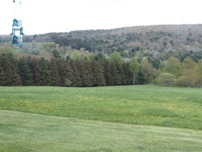 Open & Gorgeous 20 Acres - image 5