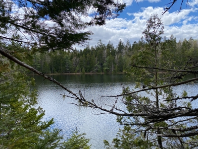 Lakefront Land For Sale | Maine Real Estate - image 10