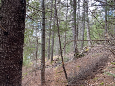 Lakefront Land For Sale | Maine Real Estate - image 7