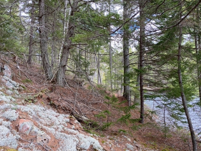 Lakefront Land For Sale | Maine Real Estate - image 2
