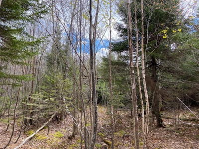 Lakefront Land For Sale | Maine Real Estate - image 13