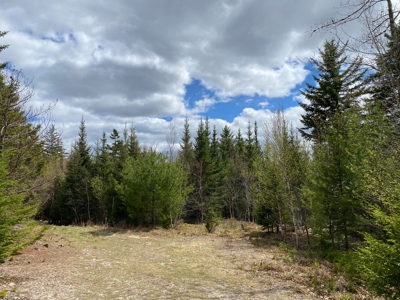 Lakefront Land For Sale | Maine Real Estate - image 17