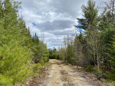Lakefront Land For Sale | Maine Real Estate - image 15