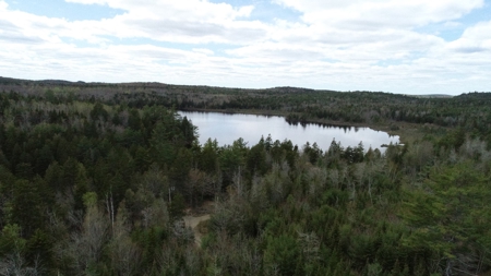 Lakefront Land For Sale | Maine Real Estate - image 1