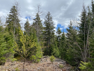 Lakefront Land For Sale | Maine Real Estate - image 18