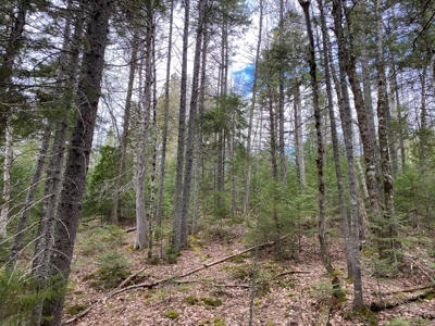 Lakefront Land For Sale | Maine Real Estate - image 11