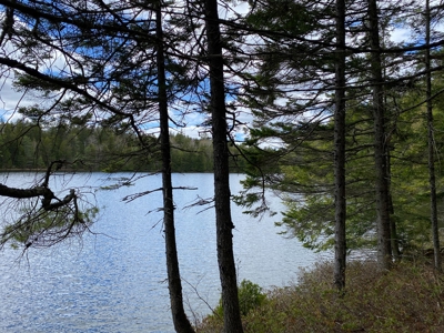 Lakefront Land For Sale | Maine Real Estate - image 3