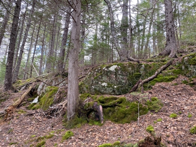 Lakefront Land For Sale | Maine Real Estate - image 6