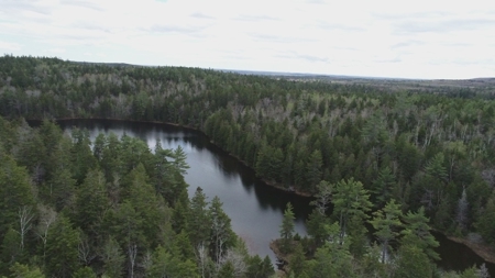 Lakefront Land For Sale | Maine Real Estate - image 19