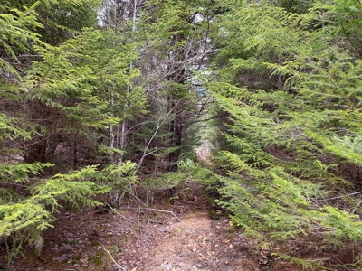 Lakefront Land For Sale | Maine Real Estate - image 12