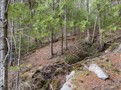 Lakefront Land For Sale | Maine Real Estate - image 5