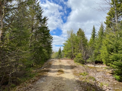Lakefront Land For Sale | Maine Real Estate - image 14