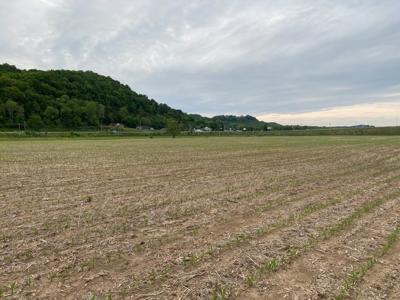 Pending Riverfront Land for Sale, Burkesville Kentucky - image 32