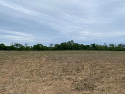 Pending Riverfront Land for Sale, Burkesville Kentucky - image 11