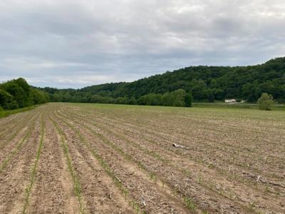 Pending Riverfront Land for Sale, Burkesville Kentucky - image 31