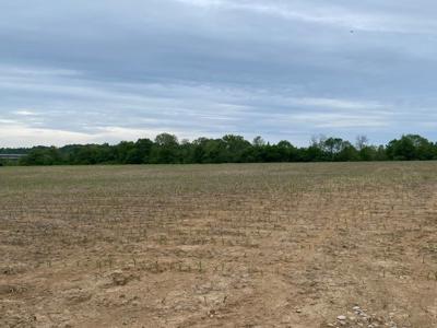 Pending Riverfront Land for Sale, Burkesville Kentucky - image 10