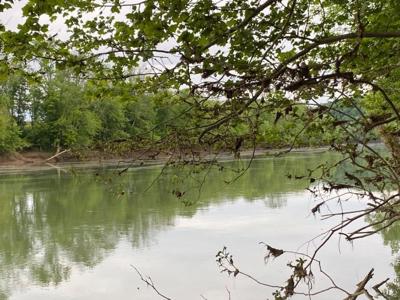 Pending Riverfront Land for Sale, Burkesville Kentucky - image 22