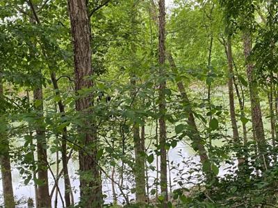 Pending Riverfront Land for Sale, Burkesville Kentucky - image 16