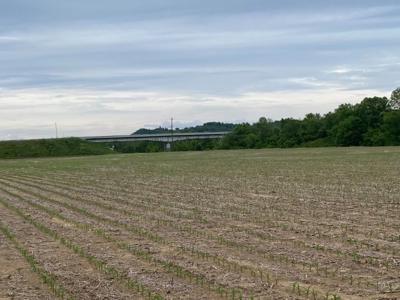 Pending Riverfront Land for Sale, Burkesville Kentucky - image 14