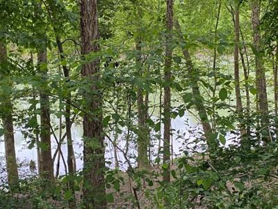 Pending Riverfront Land for Sale, Burkesville Kentucky - image 20