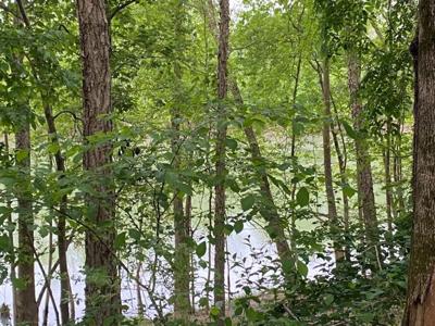 Pending Riverfront Land for Sale, Burkesville Kentucky - image 18