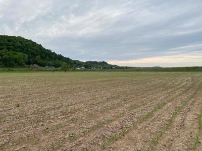 Pending Riverfront Land for Sale, Burkesville Kentucky - image 30