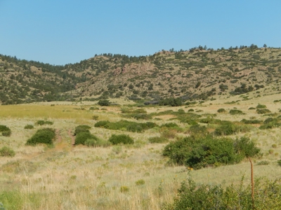 Colorado Mountain Ranch With Well & Springs in Teller County - image 2