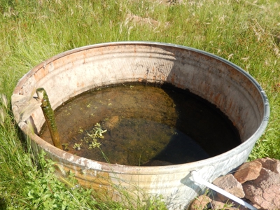 Colorado Mountain Ranch With Well & Springs in Teller County - image 18