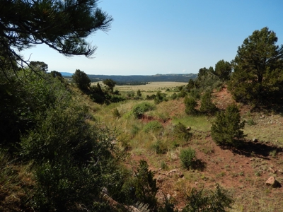 Colorado Mountain Ranch With Well & Springs in Teller County - image 15