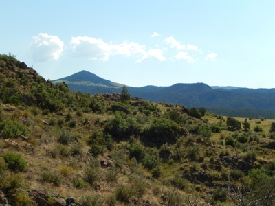 Colorado Mountain Ranch With Well & Springs in Teller County - image 21