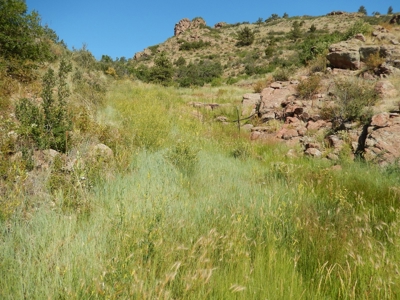 Colorado Mountain Ranch With Well & Springs in Teller County - image 17