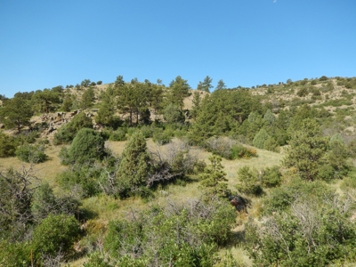 Colorado Mountain Ranch With Well & Springs in Teller County - image 11