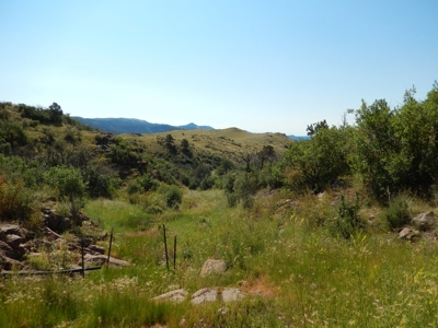 Colorado Mountain Ranch With Well & Springs in Teller County - image 20