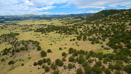 Colorado Mountain Ranch With Well & Springs in Teller County - image 26