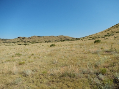 Colorado Mountain Ranch With Well & Springs in Teller County - image 8
