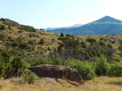 Colorado Mountain Ranch With Well & Springs in Teller County - image 6