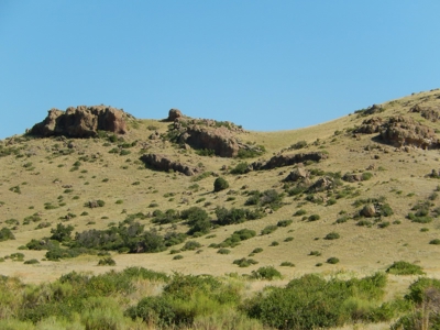 Colorado Mountain Ranch With Well & Springs in Teller County - image 3
