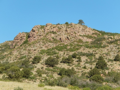 Colorado Mountain Ranch With Well & Springs in Teller County - image 4
