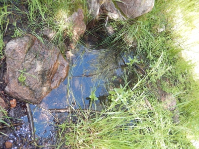 Colorado Mountain Ranch With Well & Springs in Teller County - image 14