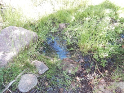 Colorado Mountain Ranch With Well & Springs in Teller County - image 13