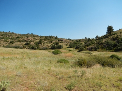 Colorado Mountain Ranch With Well & Springs in Teller County - image 16