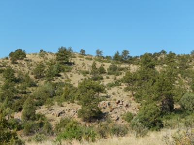 Colorado Mountain Ranch With Well & Springs in Teller County - image 10