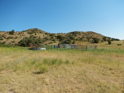 Colorado Mountain Ranch With Well & Springs in Teller County - image 1